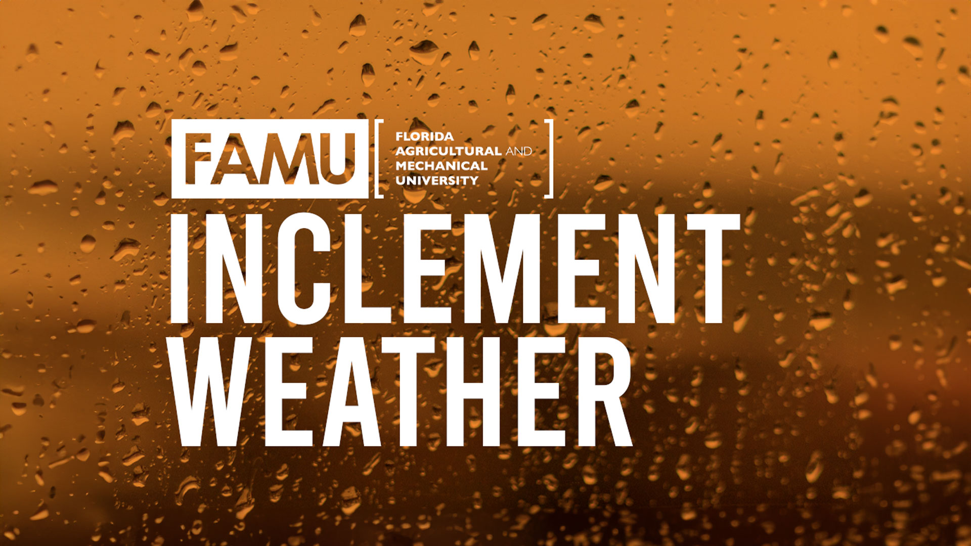 FAMU To Resume Normal Operations Wednesday Following Winter Storm